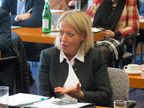 Initiative-Li-2019-45